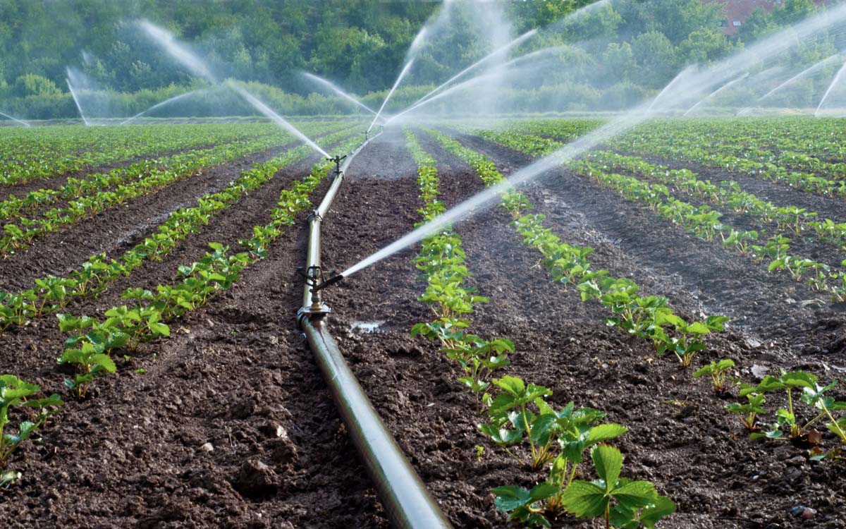 Irrigation Systems/Equipment in Kampala Uganda. Agricultural Equipment/Modern Agro Tools/Farm Implements, Agro Technology And Commercial/Industrial Agricultural Mechanization Support Uganda. Uganda's Leading Agricultural Machinery Companies: Contractors, Importers, Exporters, Distributors, Suppliers, Manufacturers And Installers Of Modern Agricultural/Farm Equipment/Agri Machines, Stockists Of Agricultural Machinery Accessories And Spare Parts In Uganda, East Africa, Kenya, Tanzania, South Sudan, DRC/Congo, Rwanda, Burundi, Africa, Uganda Digital Agro Machinery Marketing Platform, Agro Machinery Expo Online. Visit: Agro Machinery Marketing Platform Uganda For Durable Agro Machinery At Good Prices. agromachineryug.com