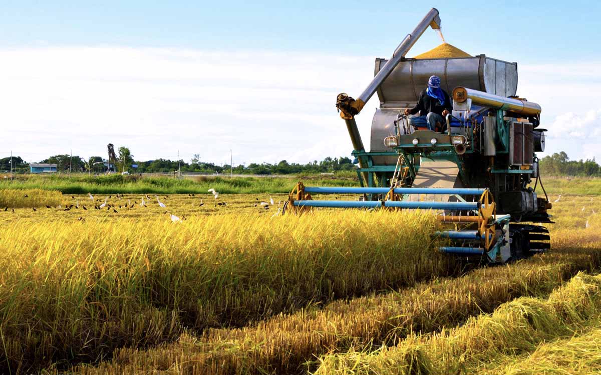 Post Harvest Machinery in Kampala Uganda. Agricultural Equipment/Modern Agro Tools/Farm Implements, Agro Technology And Commercial/Industrial Agricultural Mechanization Support Uganda. Uganda's Leading Agricultural Machinery Companies: Contractors, Importers, Exporters, Distributors, Suppliers, Manufacturers And Installers Of Modern Agricultural/Farm Equipment/Agri Machines, Stockists Of Agricultural Machinery Accessories And Spare Parts In Uganda, East Africa, Kenya, Tanzania, South Sudan, DRC/Congo, Rwanda, Burundi, Africa, Uganda Digital Agro Machinery Marketing Platform, Agro Machinery Expo Online. Visit: Agro Machinery Marketing Platform Uganda For Durable Agro Machinery At Good Prices. agromachineryug.com