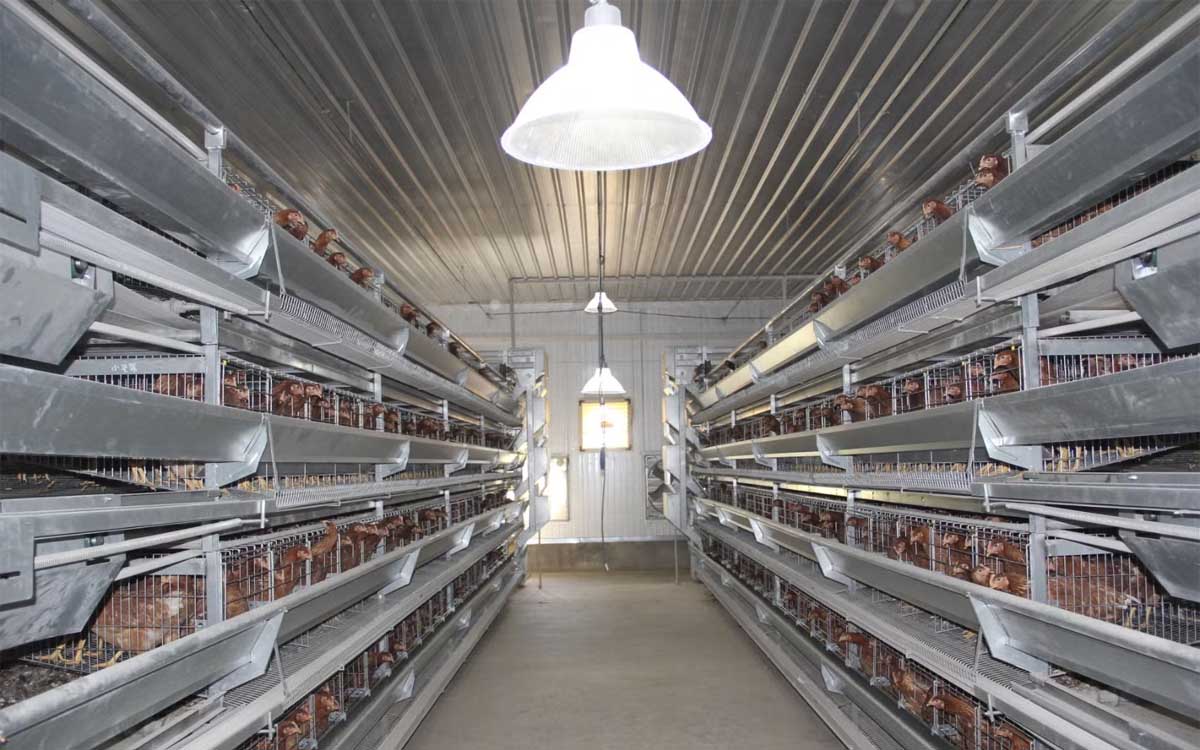 Poultry Equipment Stores/Shops Kampala Uganda. Agro Technology And Agricultural Mechanization Uganda. Agro Machinery Companies Uganda. Uganda's Leading Agricultural Machinery Companies: Contractors, Importers, Distributors, Suppliers, Manufacturers And Installers Of Modern Agricultural/Farm Equipment/Agri Machines And Agro Spare Parts In Uganda, East Africa, Kenya, Tanzania, South Sudan, Democratic Republic of the Congo, Rwanda, Burundi, Africa, Uganda Agro Machinery Marketing Platform, Digital Agro Machinery Expo Online. agromachineryug.com