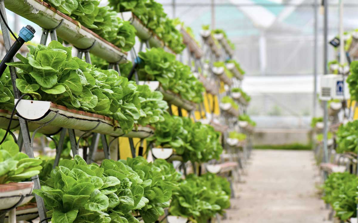 Urban Farming Equipment Stores/Shops Kampala Uganda. Agro Technology And Agricultural Mechanization Uganda. Agro Machinery Companies Uganda. Uganda's Leading Agricultural Machinery Companies: Contractors, Importers, Distributors, Suppliers, Manufacturers And Installers Of Modern Agricultural/Farm Equipment/Agri Machines And Agro Spare Parts In Uganda, East Africa, Kenya, Tanzania, South Sudan, Democratic Republic of the Congo, Rwanda, Burundi, Africa, Uganda Agro Machinery Marketing Platform, Digital Agro Machinery Expo Online. agromachineryug.com